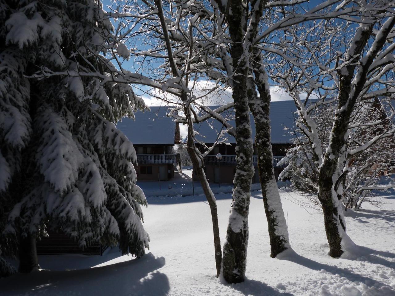 Residence Le Bois De La Reine Super Besse Exterior photo