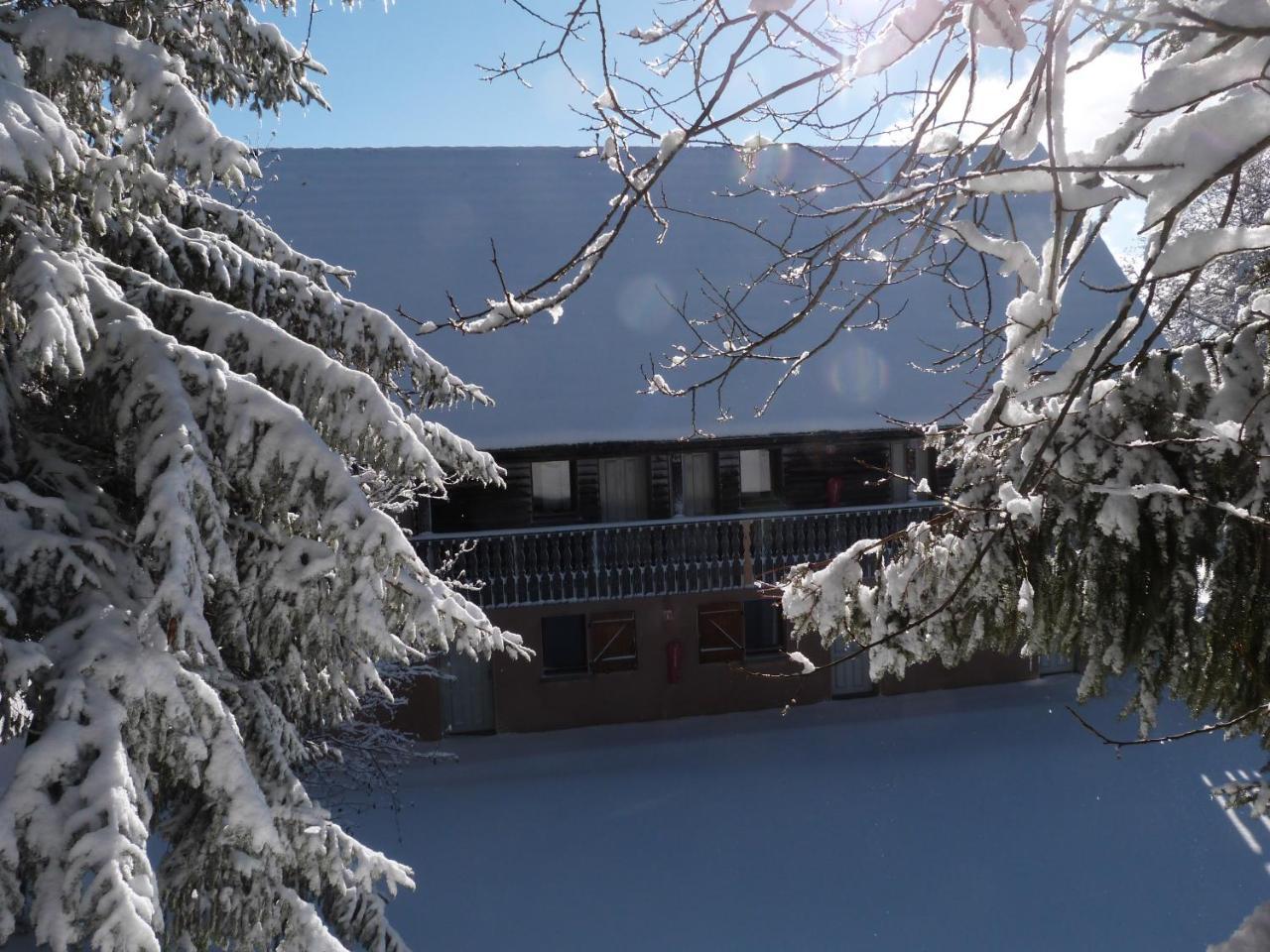 Residence Le Bois De La Reine Super Besse Exterior photo