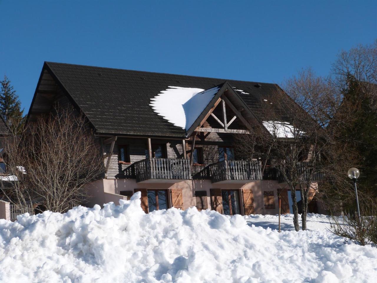 Residence Le Bois De La Reine Super Besse Exterior photo